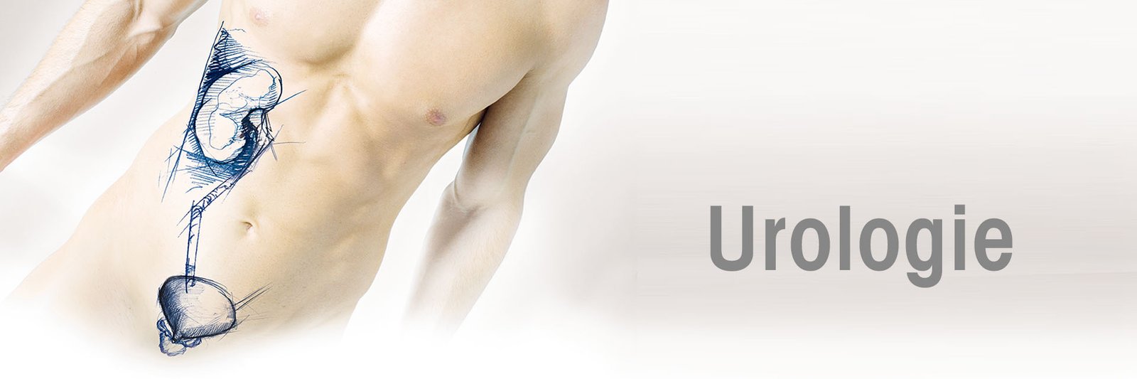 professeur-abdellatif-janane